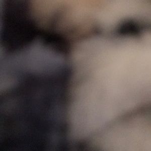 Meet your Posher, Lamar